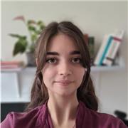 Tuteur pour de l'aide aux devoirs en informatique ou maths niveaux collège / lycée à Bordeaux